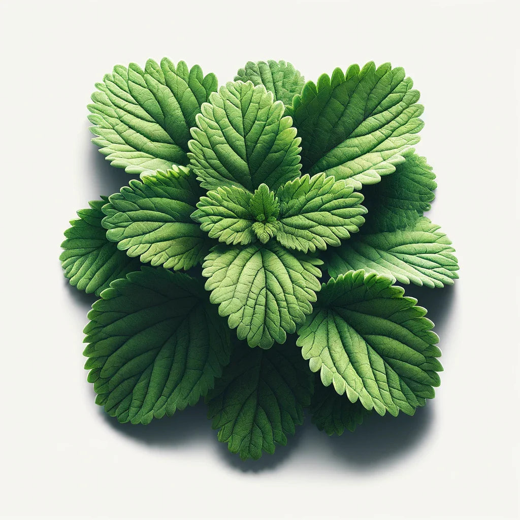 Catnip (4x)