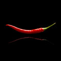 Cayenne Lovers Pepper Seed Collection
