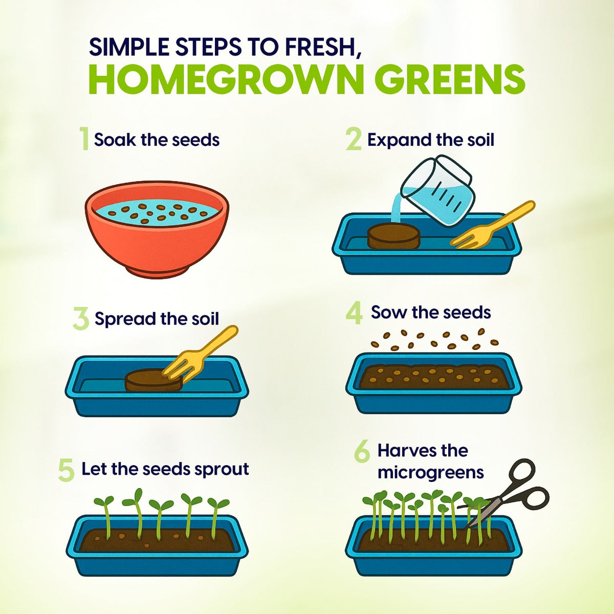 Ceramic Microgreens Growing Kit to Grow 3 Crops Including Organic USDA Red Amaranth, Purple Rambo Radish & Broccoli Microgreens Seeds.