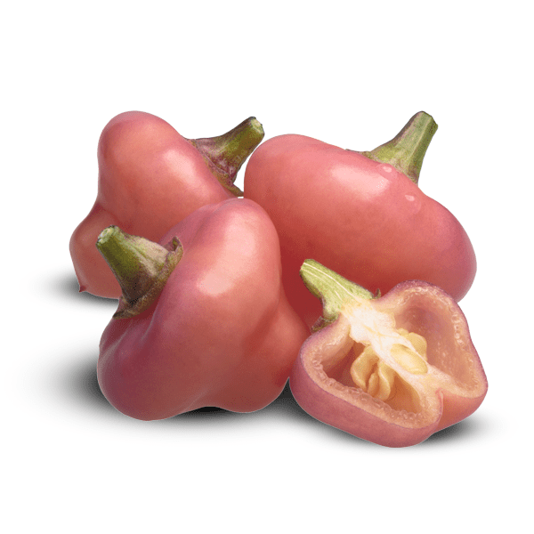 Cheiro Roxa Pepper Seeds