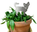 Chihuahua – Long Haired (Style 4) Plant Stake