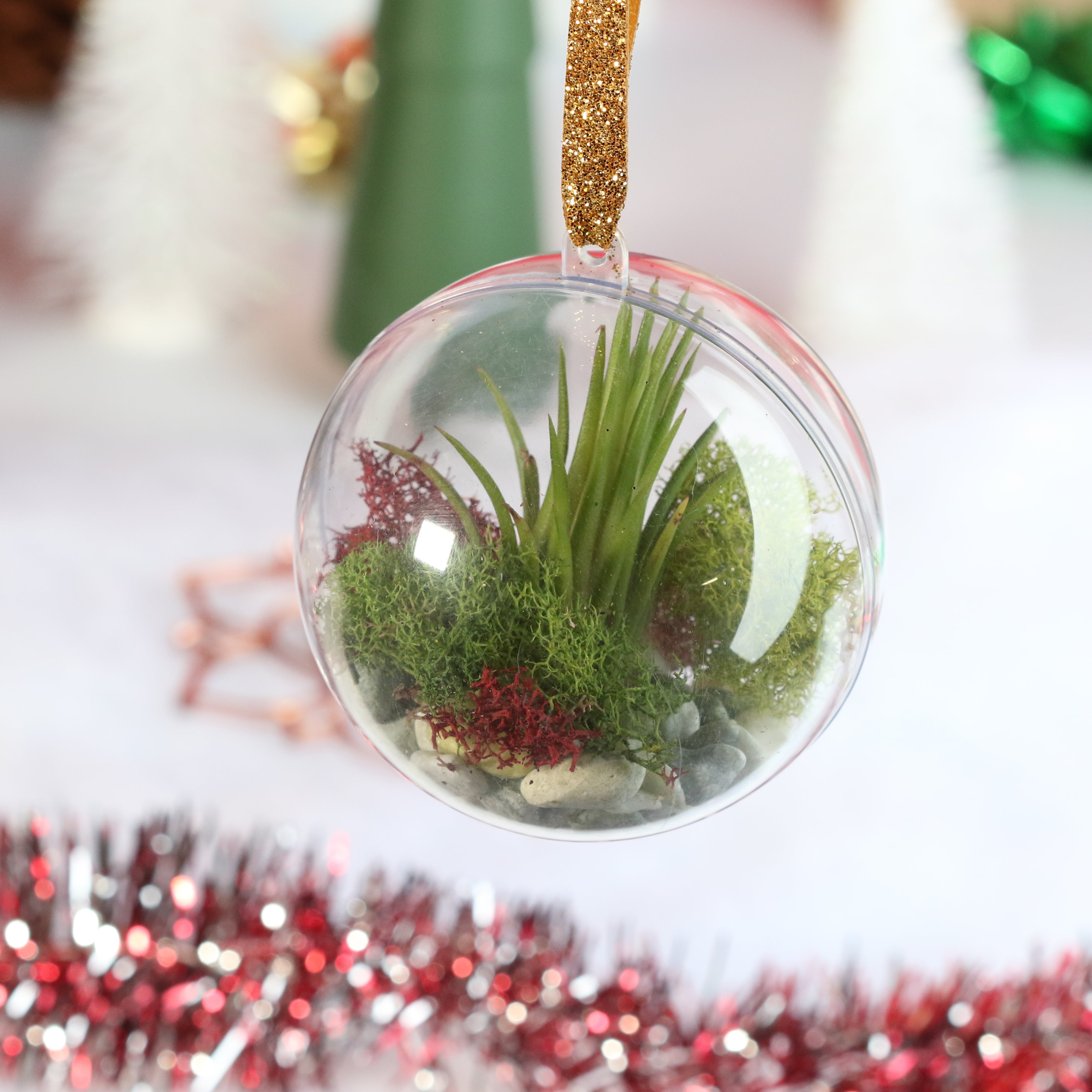 Tillandsia Air Plant Ornament