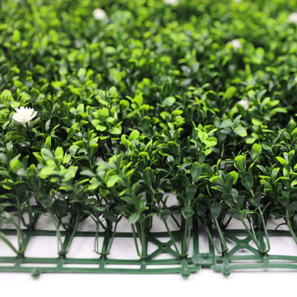 Sample Panel – White Flowering Boxwood Green Wall (Small Sample)