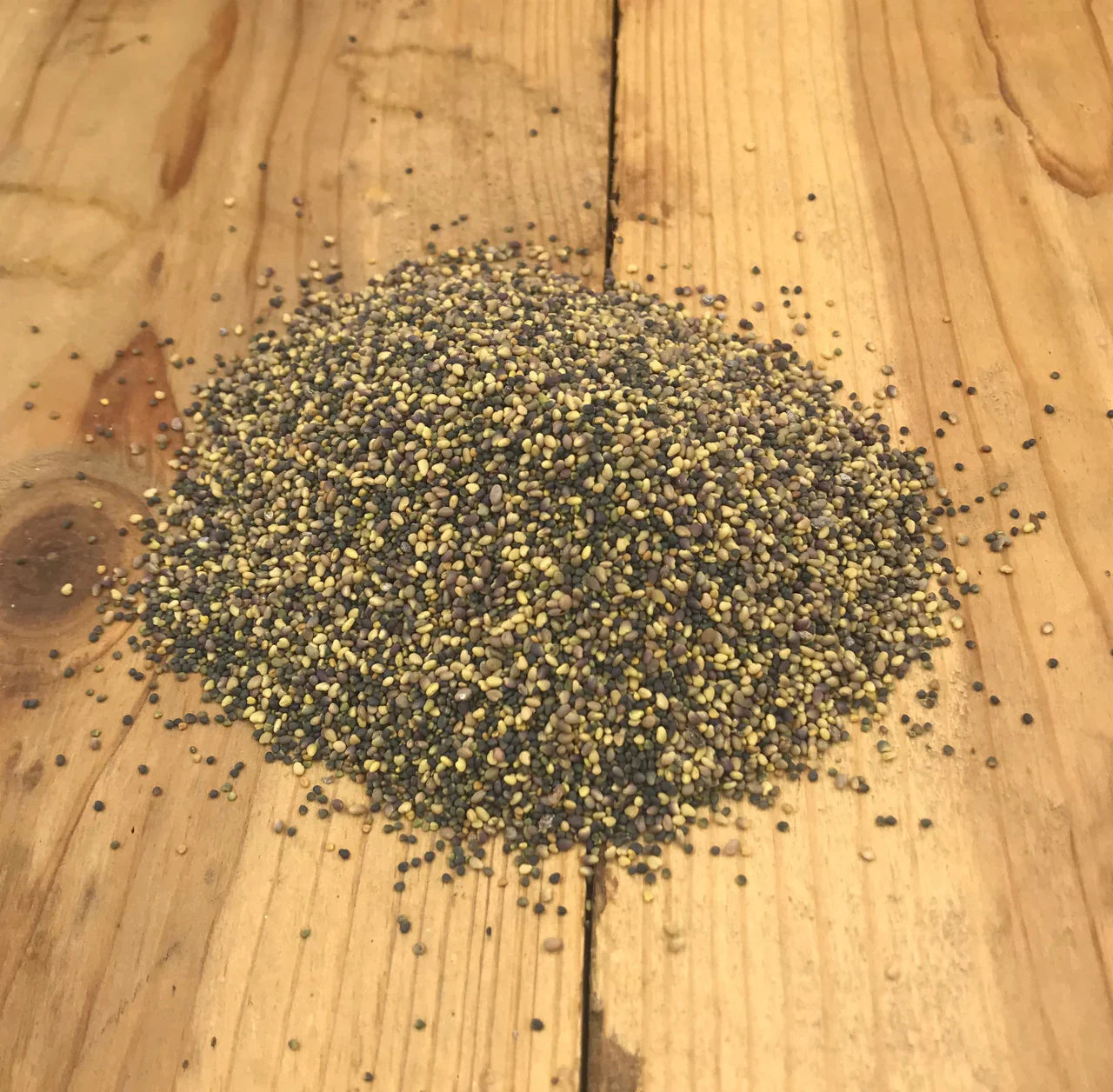 Clover Blend Food Plot Seed