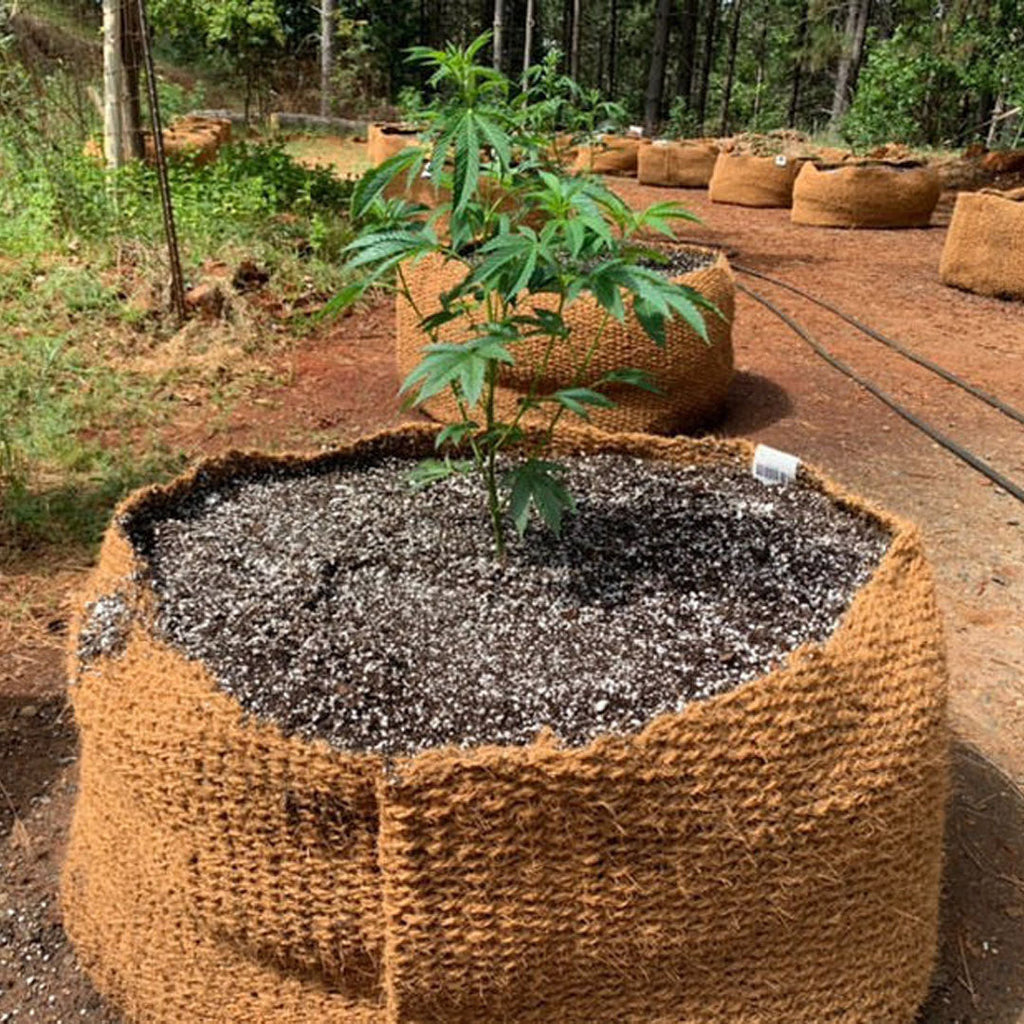 CoirNet 45 Gallon coir pot