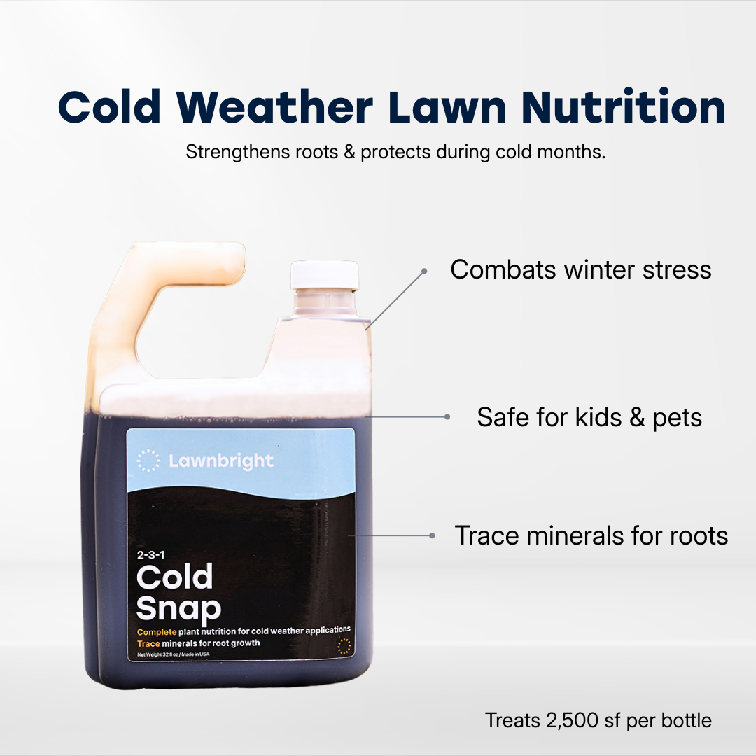 Cold Snap Winterizer