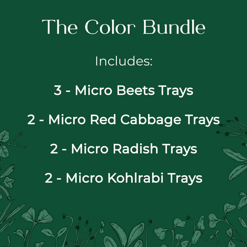 Color Bundle - 9 Tray Pack