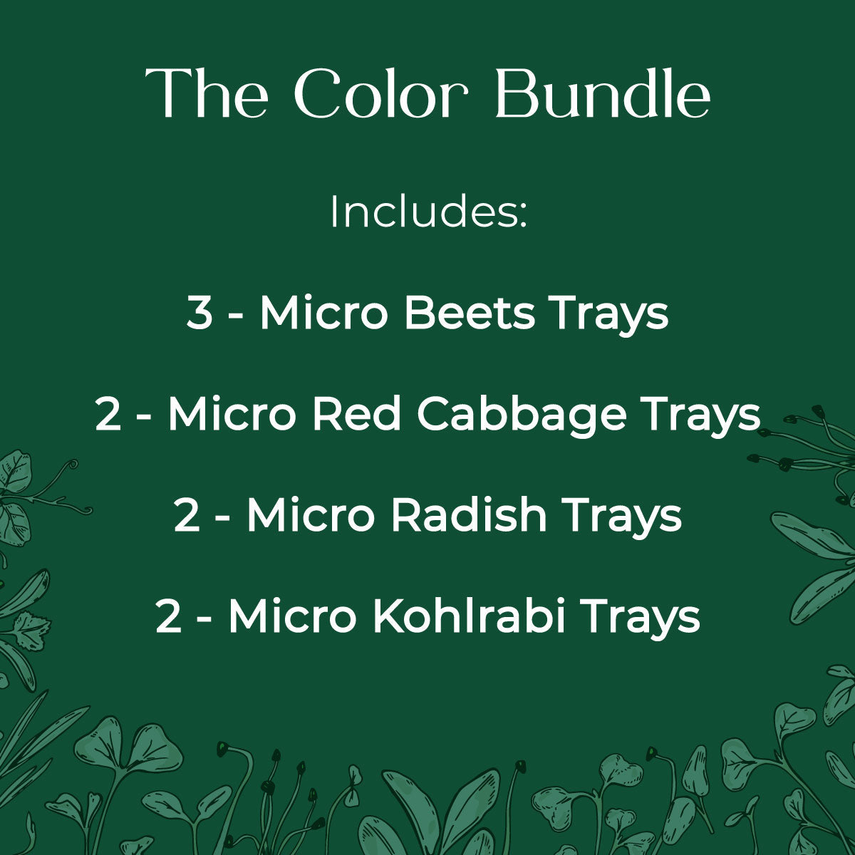 Color Bundle - 9 Tray Pack