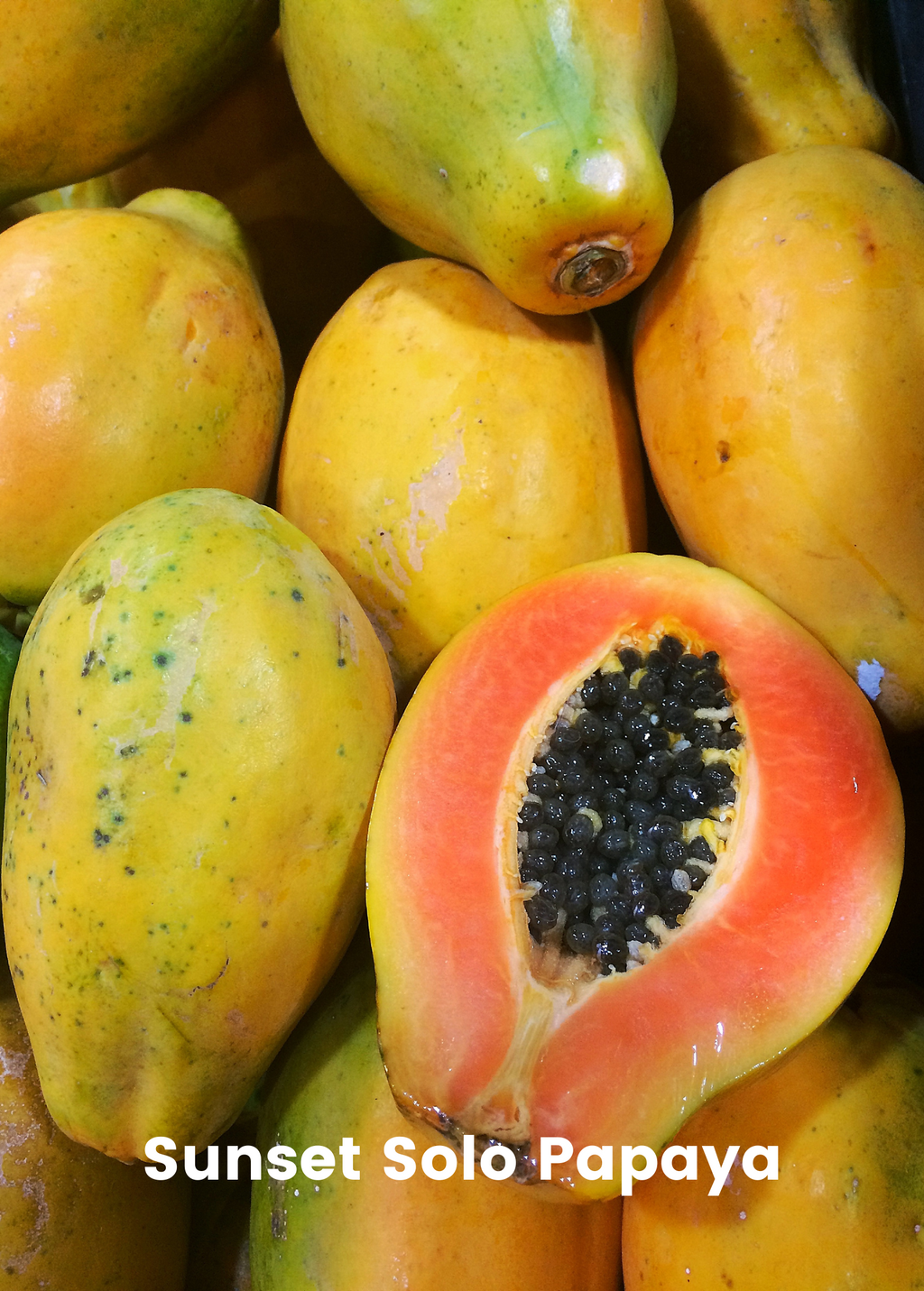 Fast Growing Fruit Tree Bundle: Star Fruit & Papaya