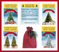 Grow Your Own CHRISTMAS TREE COLLECTION - 4 Gift Packets of Tree Seeds - Fraser Fir, Balsam Fir, Douglas Fir, & Blue Spruce + Free Gift Bag