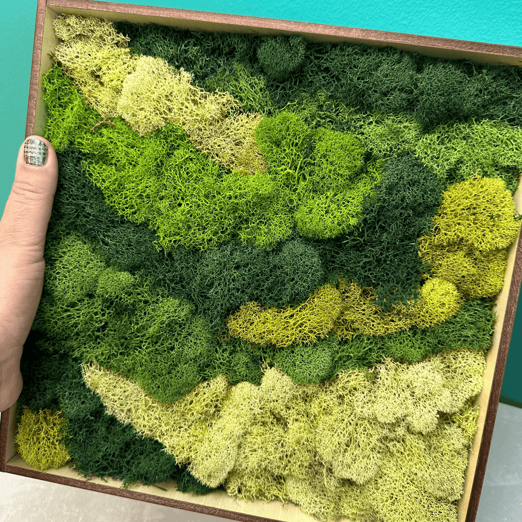 Moss Art Frame Workshop - August 20th at 6 PM