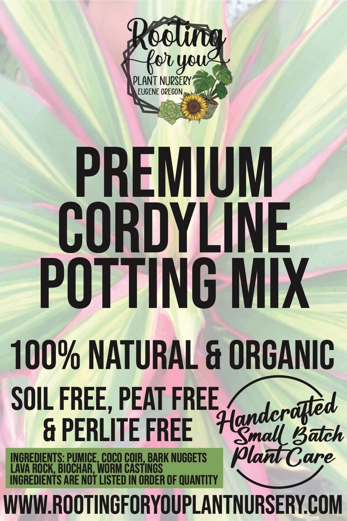 Cordyline Premium Potting Mix