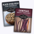 Cowpea Seed Collection – Black-Eyed Peas & Knuckle Purple Hull Cowpeas for Warm-Season, High-Nutrition Gardens