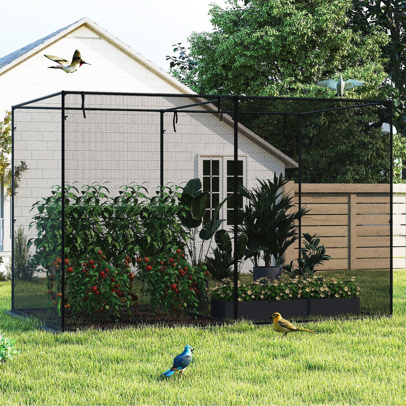 Crop Cages with 6 Ground Nails for Garden Plant