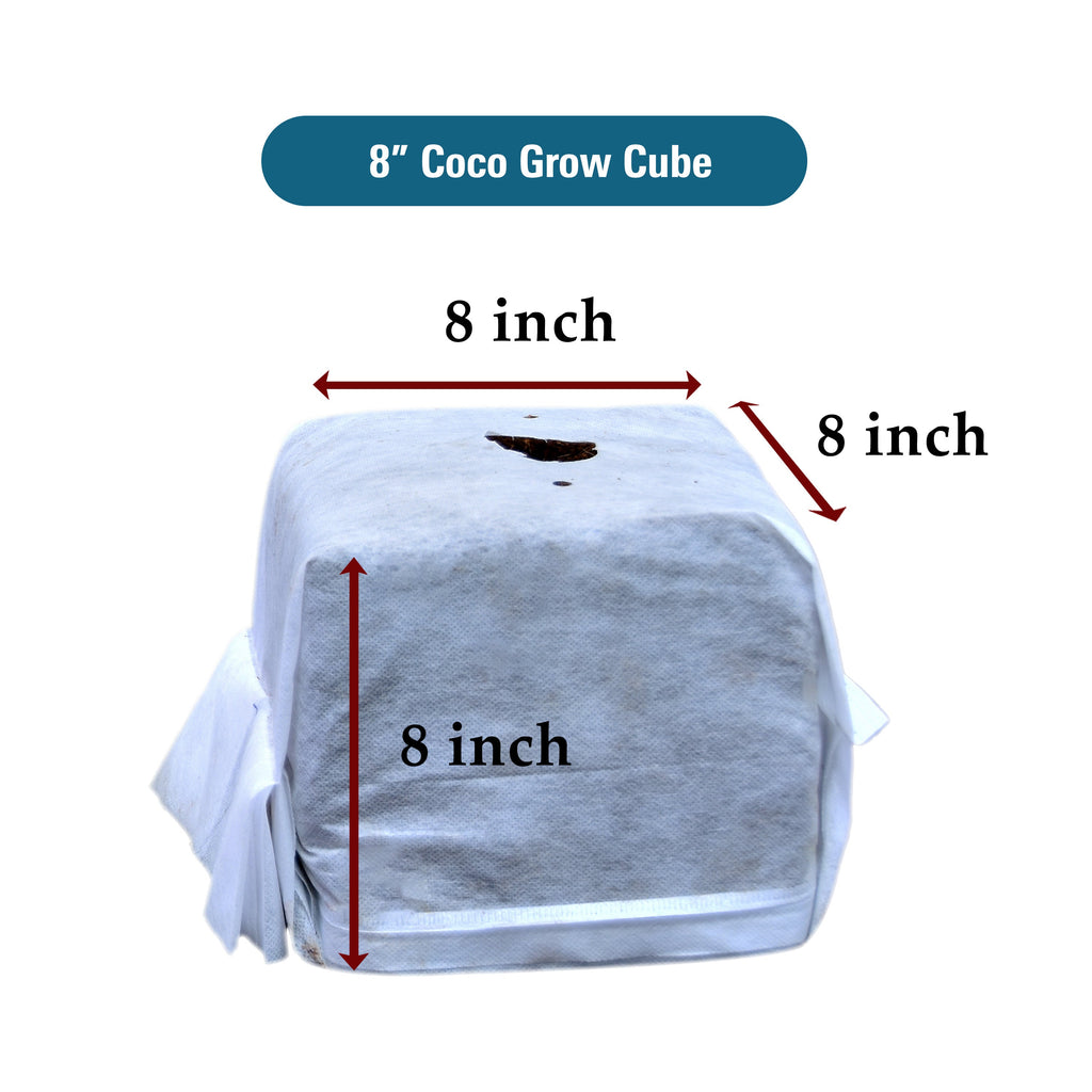 GroEzy™ 8" Coco Grow Cube