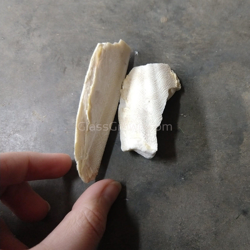 Cuttlebone by Weight