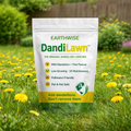 DandiLawn™ Dandelion Lawn Mix | Low-Growing, Pollinator-Friendly, No-Mow Lawn