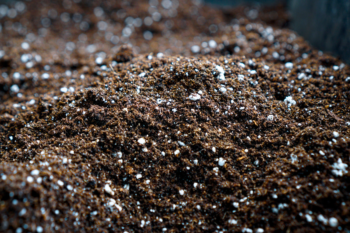 Organic Seed Starter Potting Mix – with Worm Castings & Mycorrhizae for Strong Seedlings