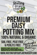 Daisy Premium Potting Mix