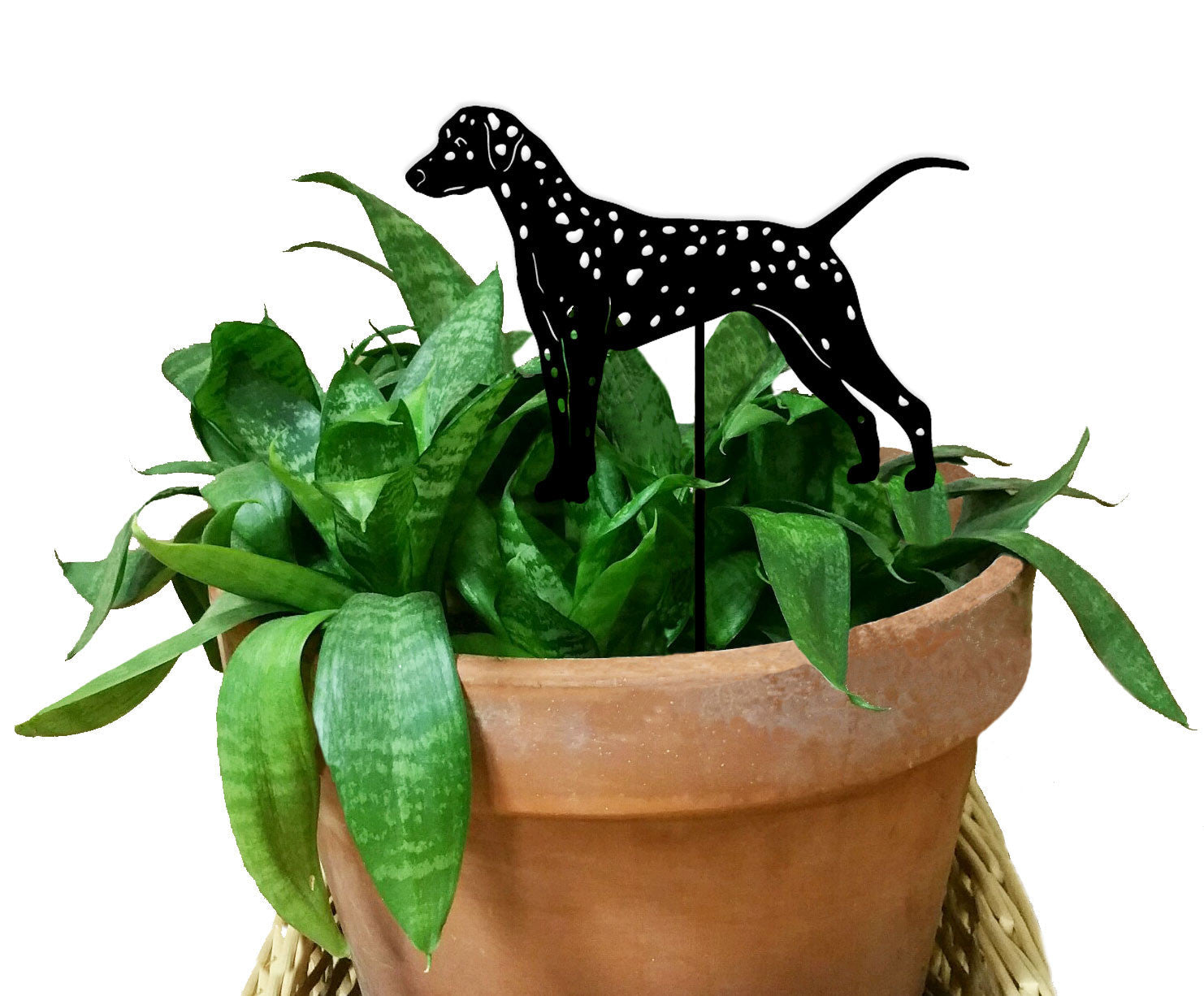 Dalmatian Plant Stake