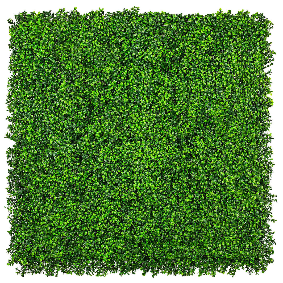Sample Panel – Bright Boxwood Green Wall (Small Sample)