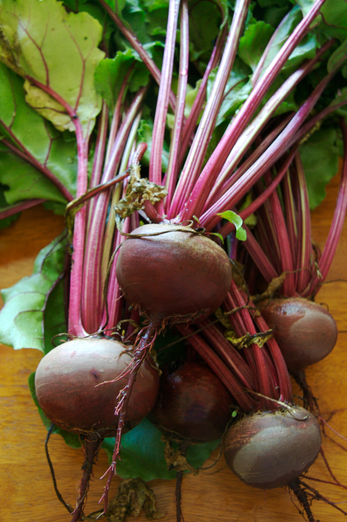 200 Detroit Dark Red Beet Seeds