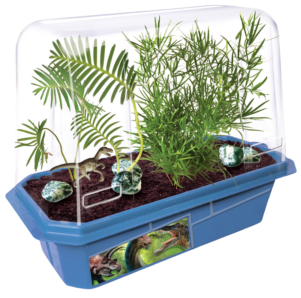 Prehistoric Dinosaur Land Mini World Terrarium