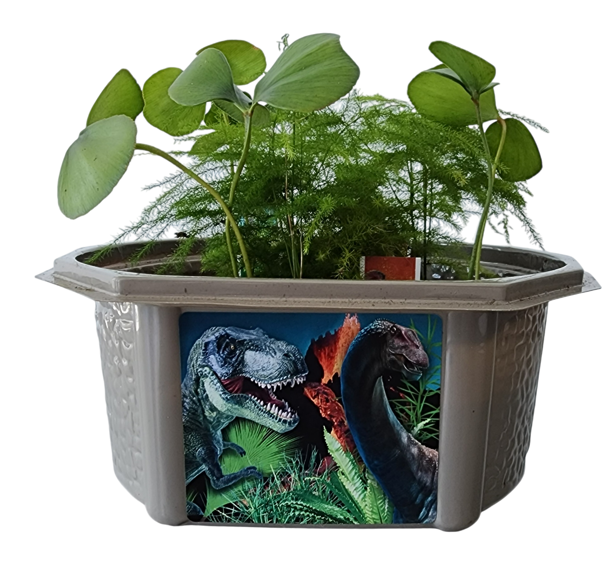 Dinosaur Domain Biosphere Terrarium