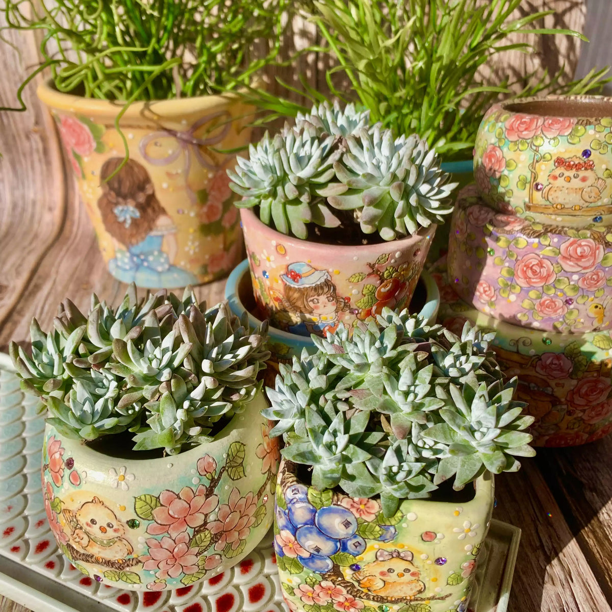 Dudleya gnoma S.W.McCabe