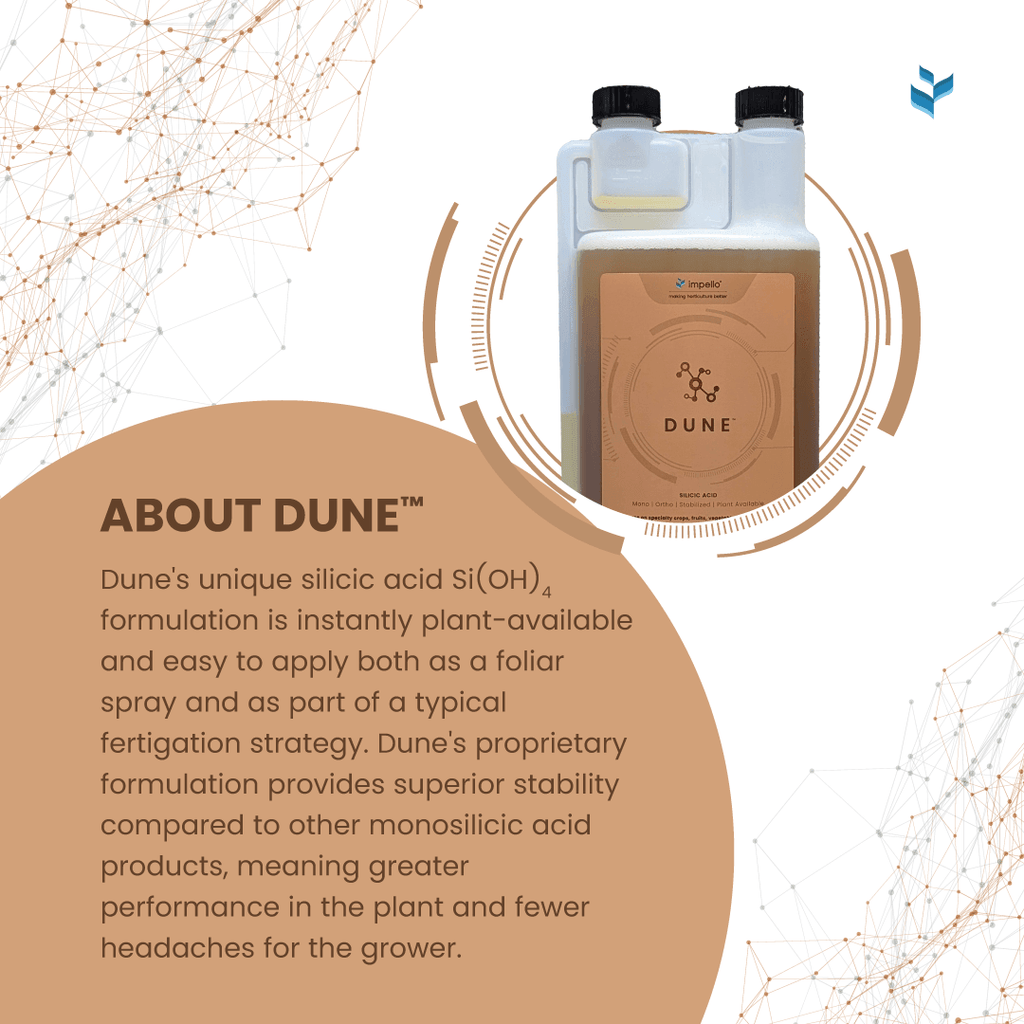 Dune™  Stabilized Monosilicic acid