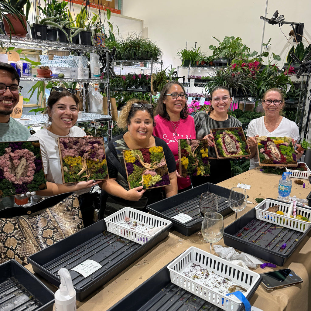 Moss Art Frame Workshop - August 20th at 6 PM