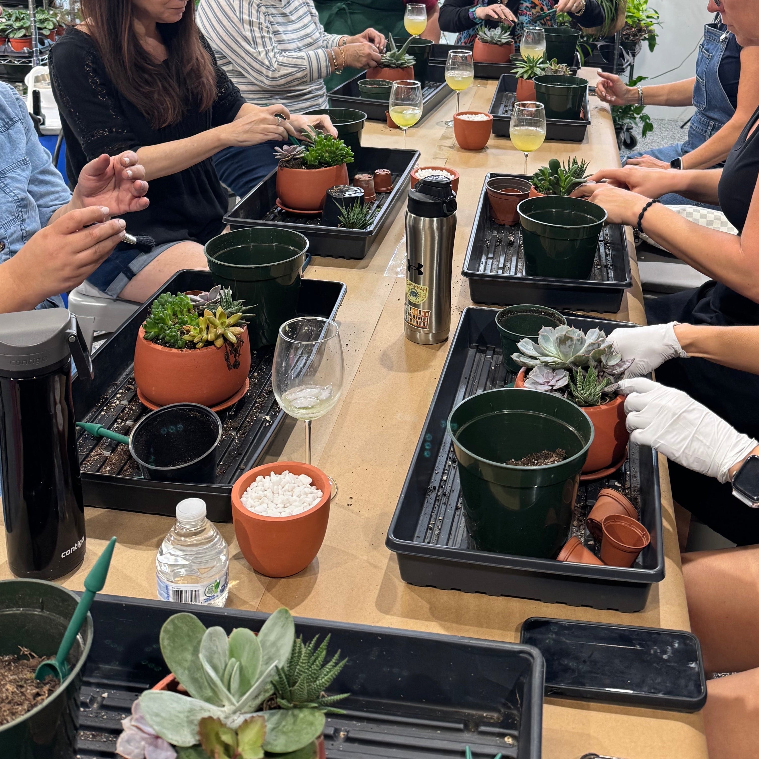 Love Grows Here Succulent Workshop- TBD