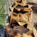 CoirNet 100 Gallon pot (5 Pot bundle)