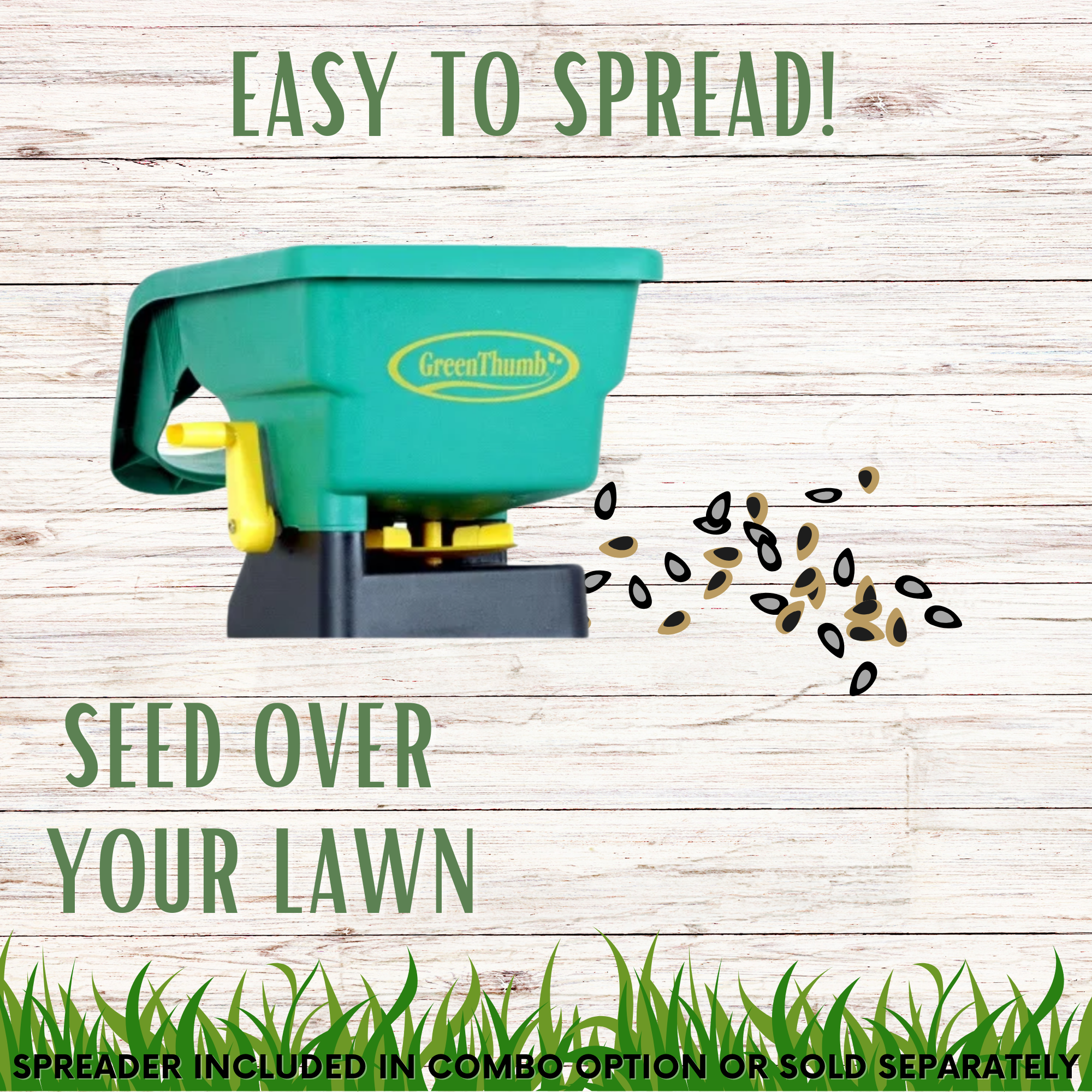 Simple Lawn Fine Fescue Grass Seed