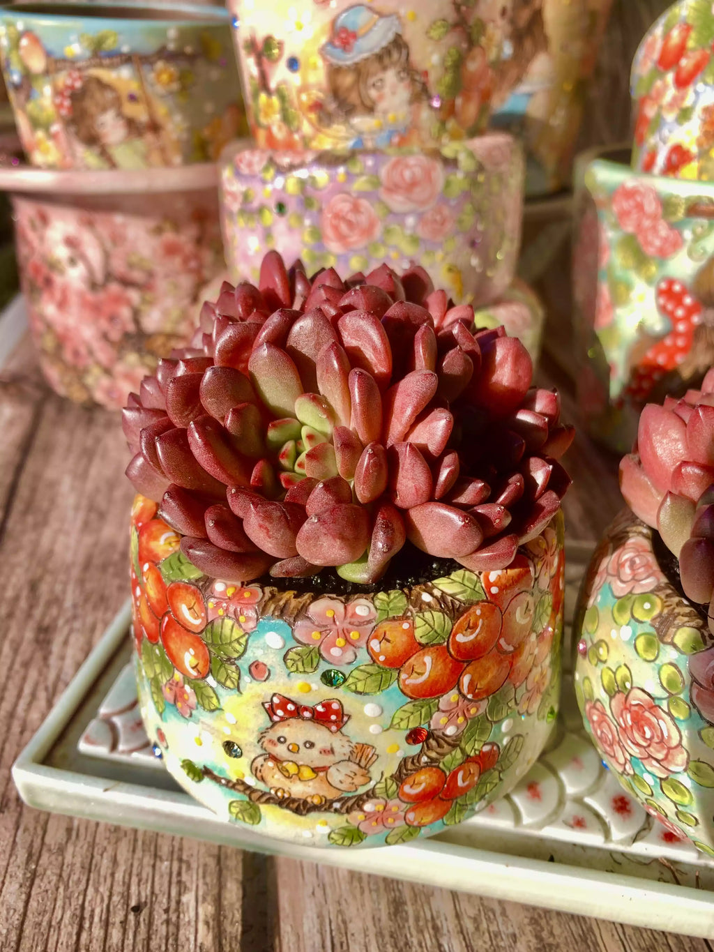 Echeveria Pink Rubby 2-2.5 Inches