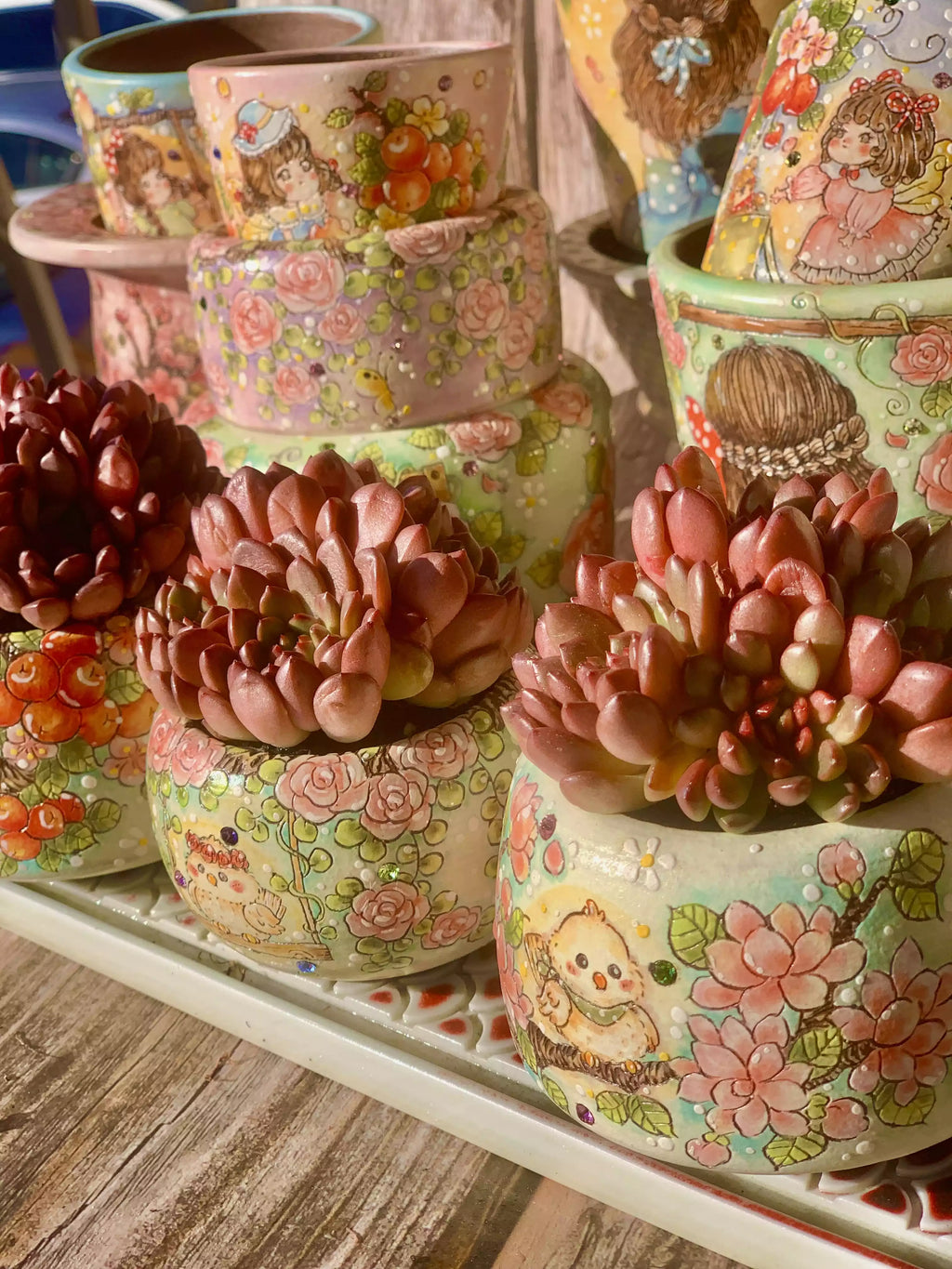 Echeveria Pink Rubby 2-2.5 Inches