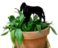 English Springer Spaniel Plant Stake