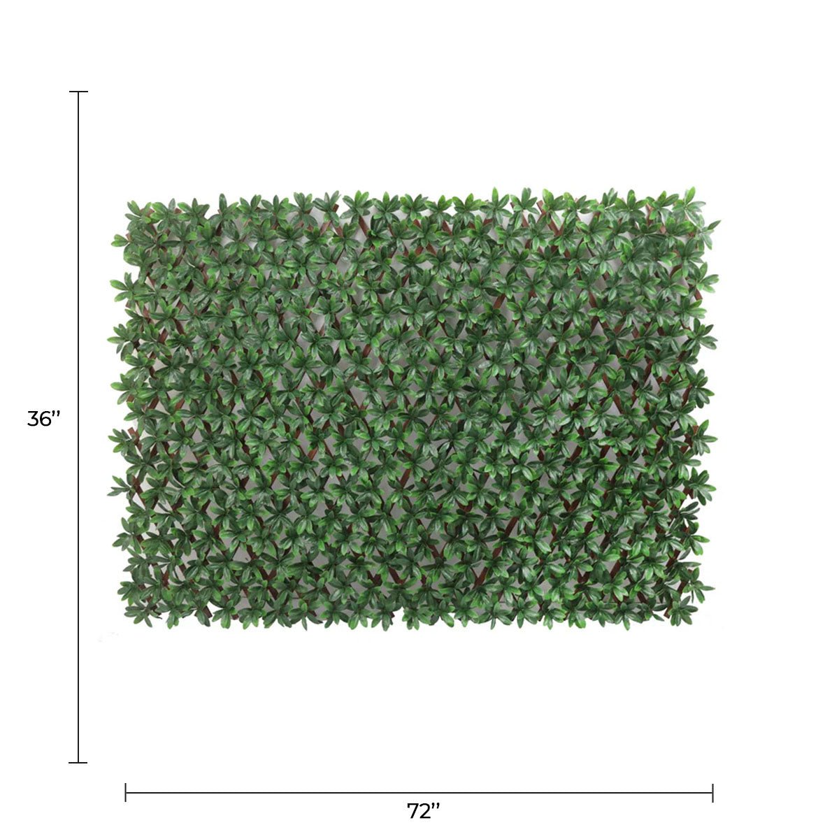 English Laurel Expandable Artificial Trellis Privacy Screen – UV Resistant