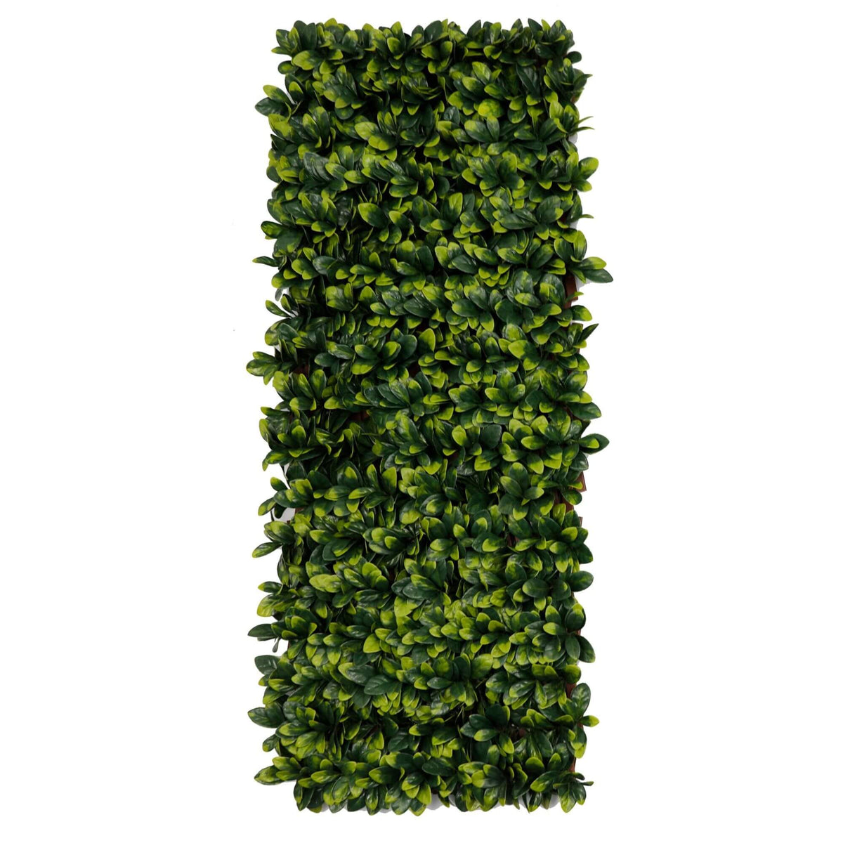 Ligustrum Ficus Expandable Artificial Trellis Privacy Screen – UV Resistant