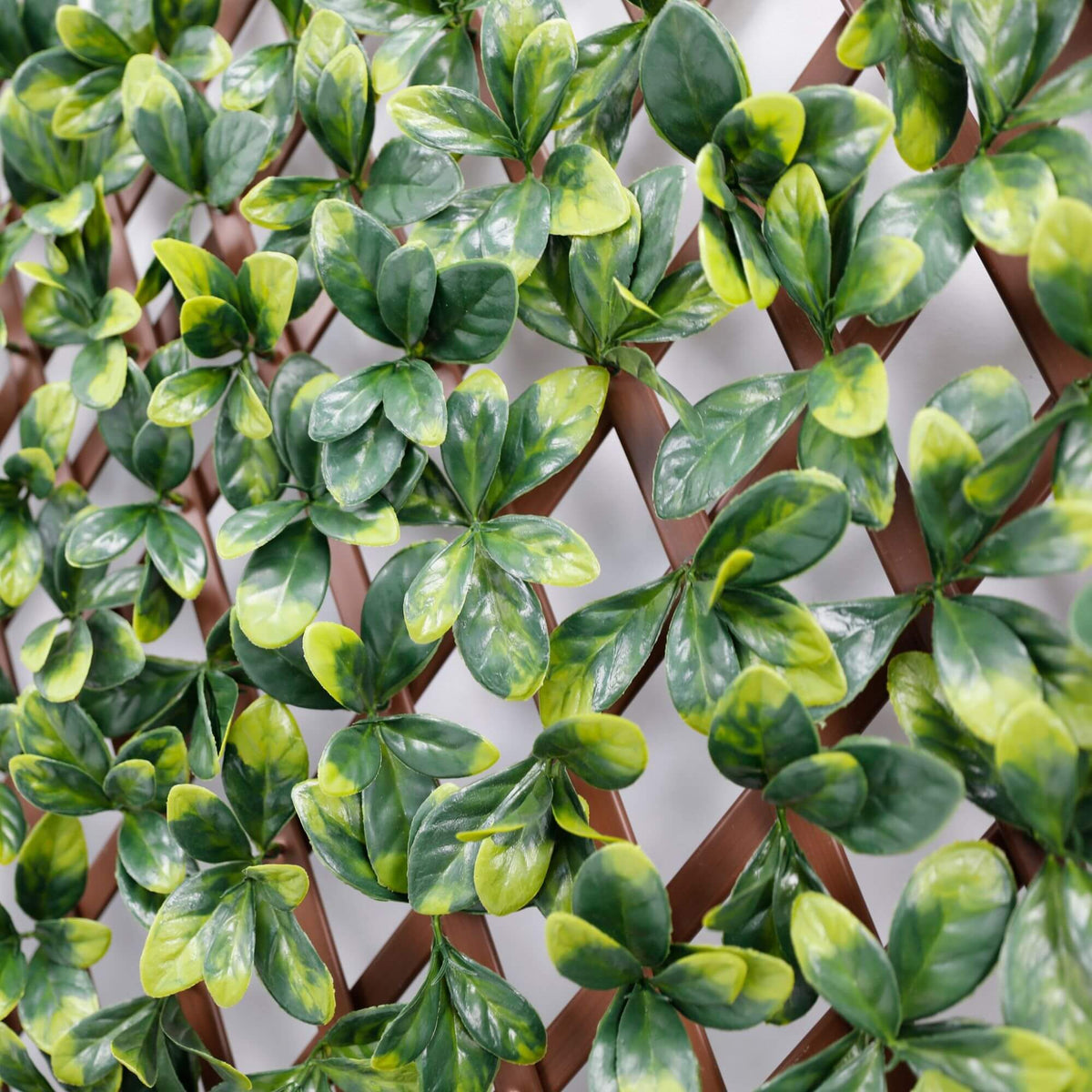 Ligustrum Ficus Expandable Artificial Trellis Privacy Screen – UV Resistant