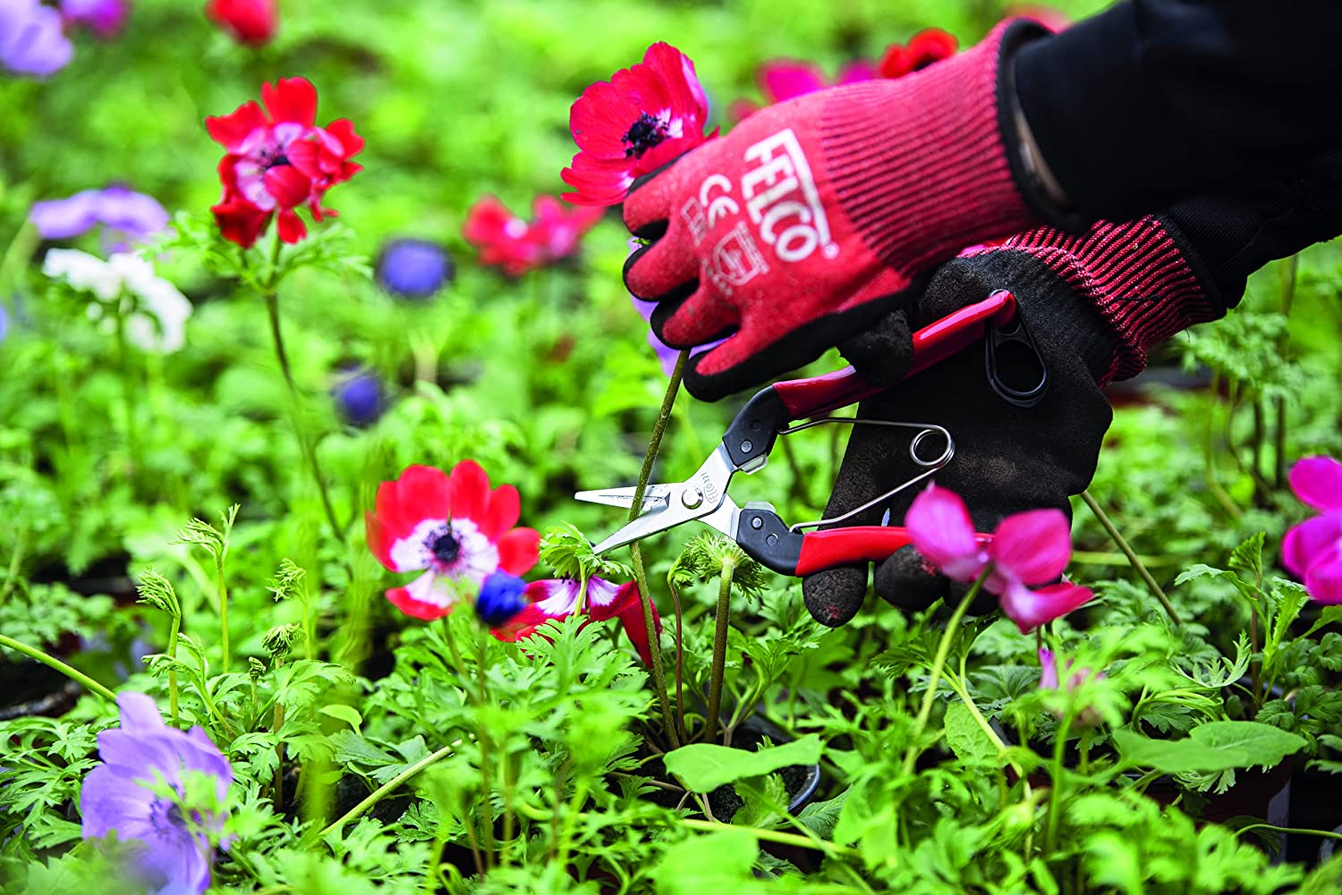 Felco Harvest Snip 321