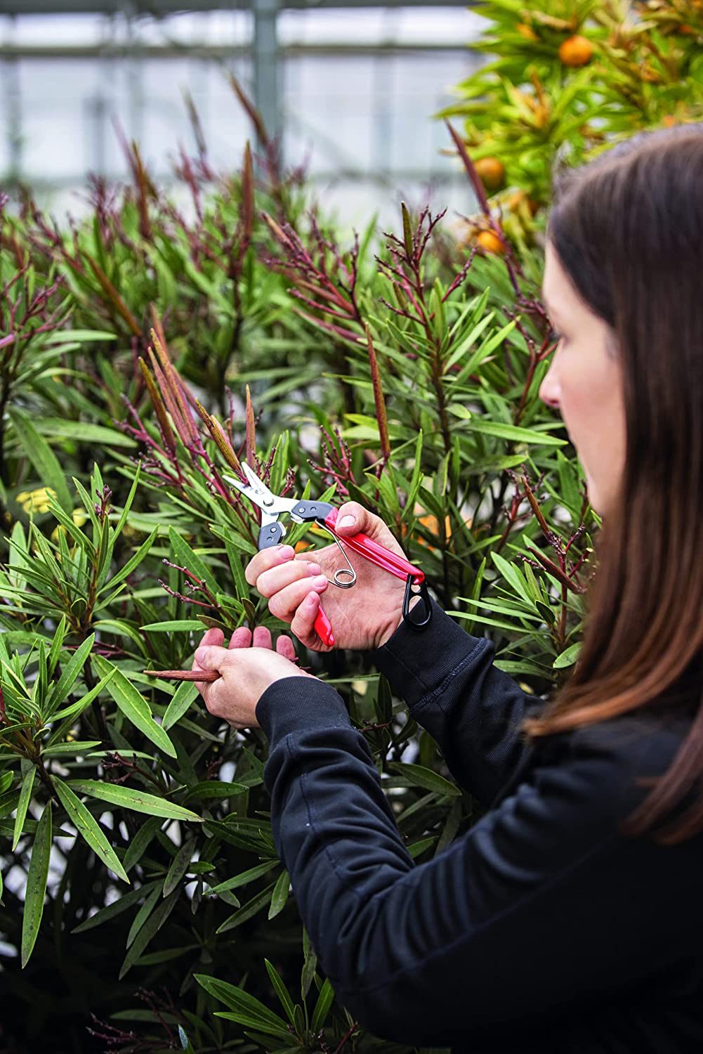 Felco Harvest Snip 321