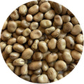 Bell Bean (Fava Bean)