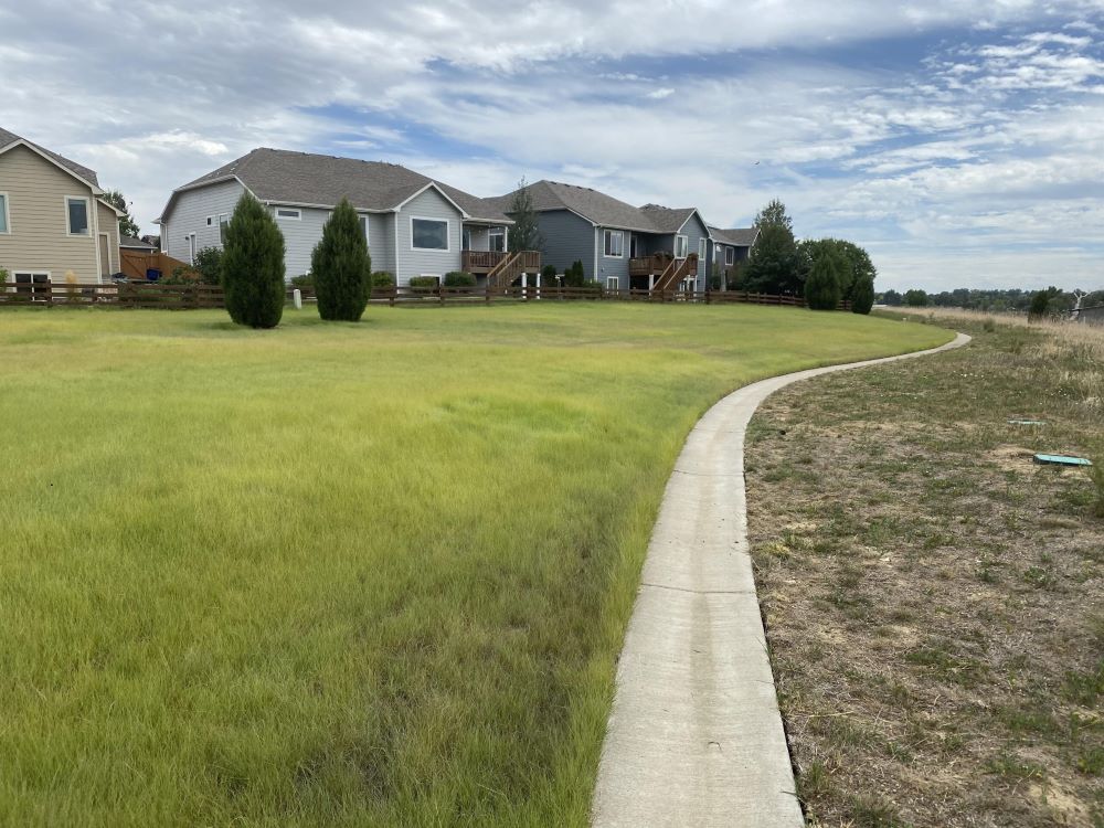 Fireguard Lawn Native Mix - Fire-Resistant Turf