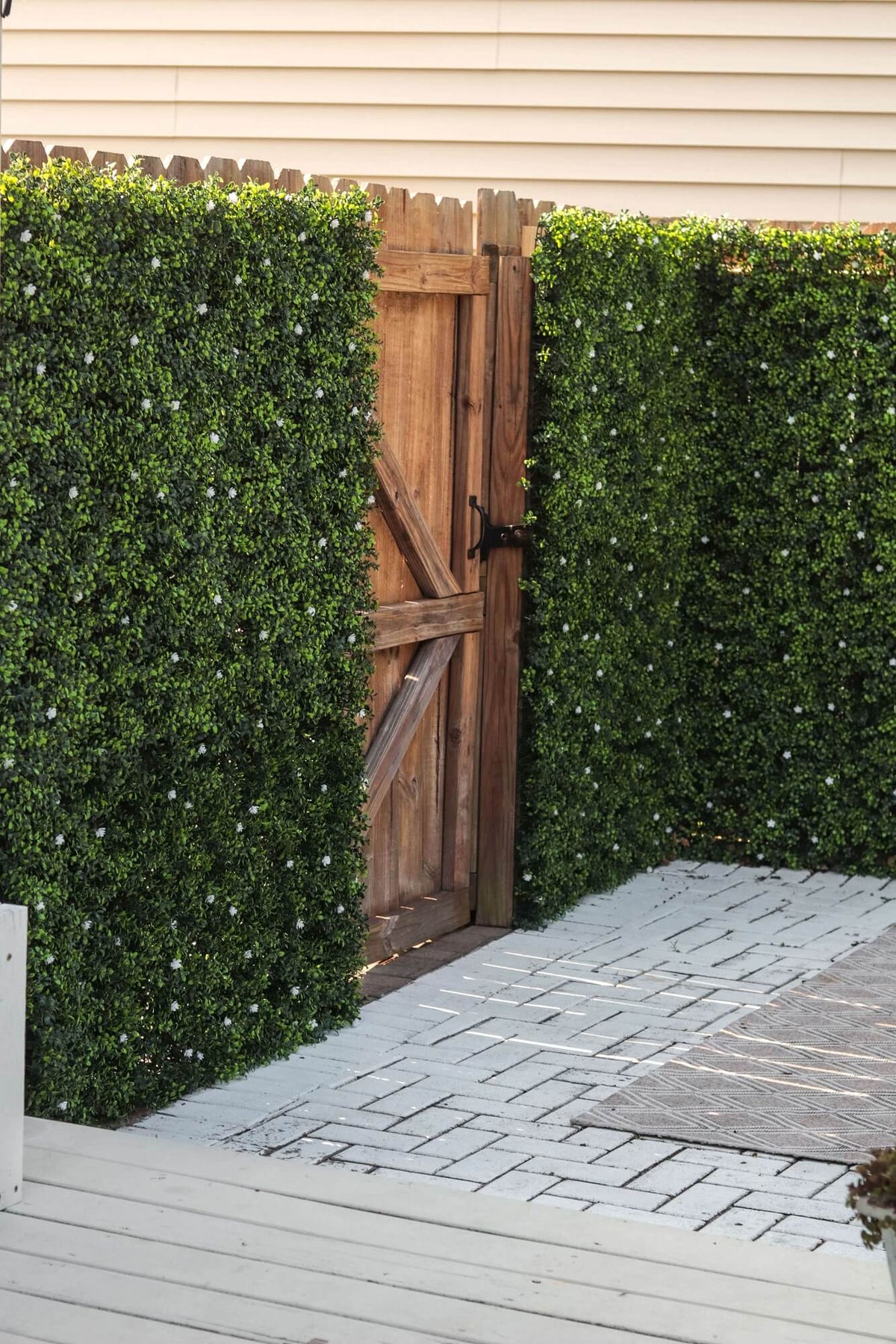 Sample Panel – White Flowering Boxwood Green Wall (Small Sample)