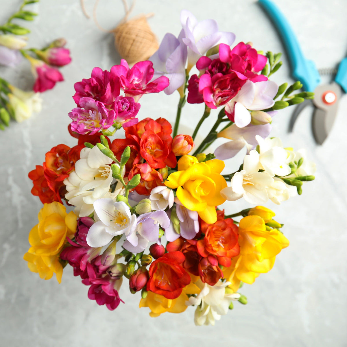 Freesia - Doubles Mix