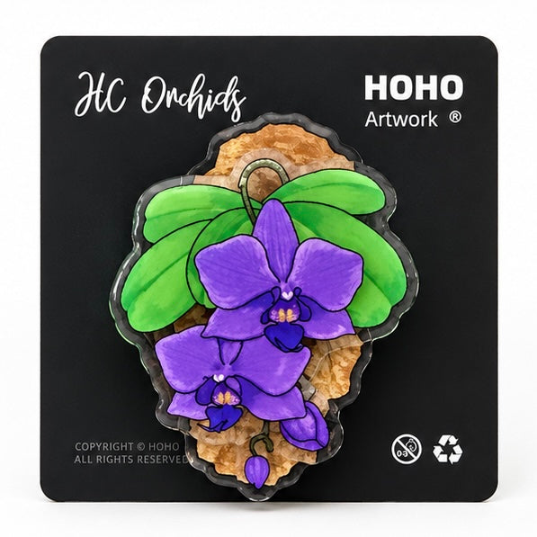 Phalaenopsis Magnet