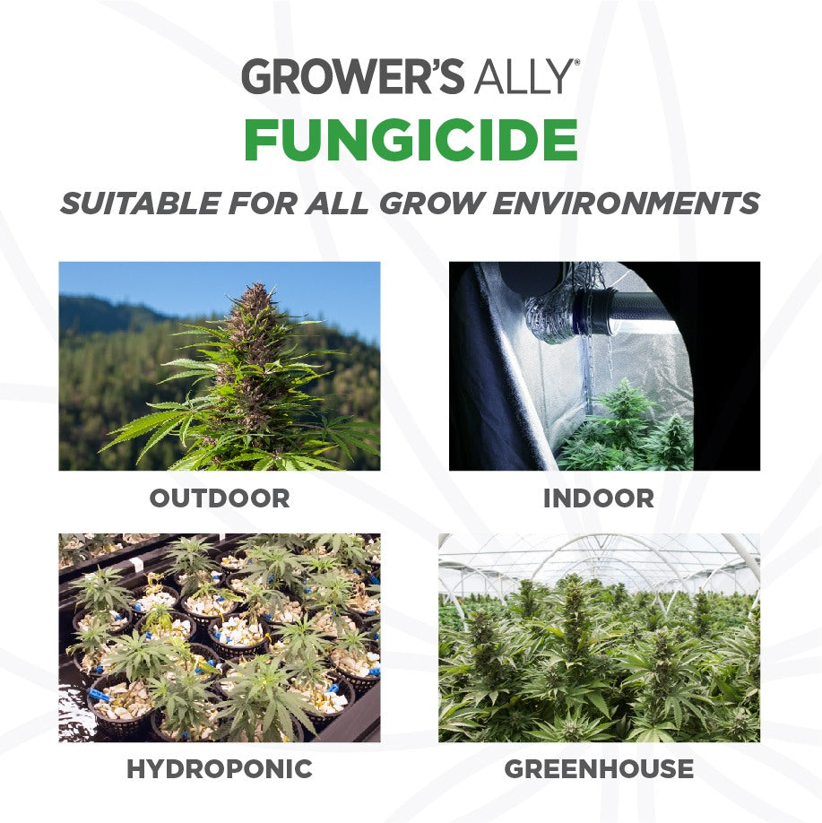 Grower's Ally Fungicide 1 Gallon Concentrate - 4/CS - Pallet of 36