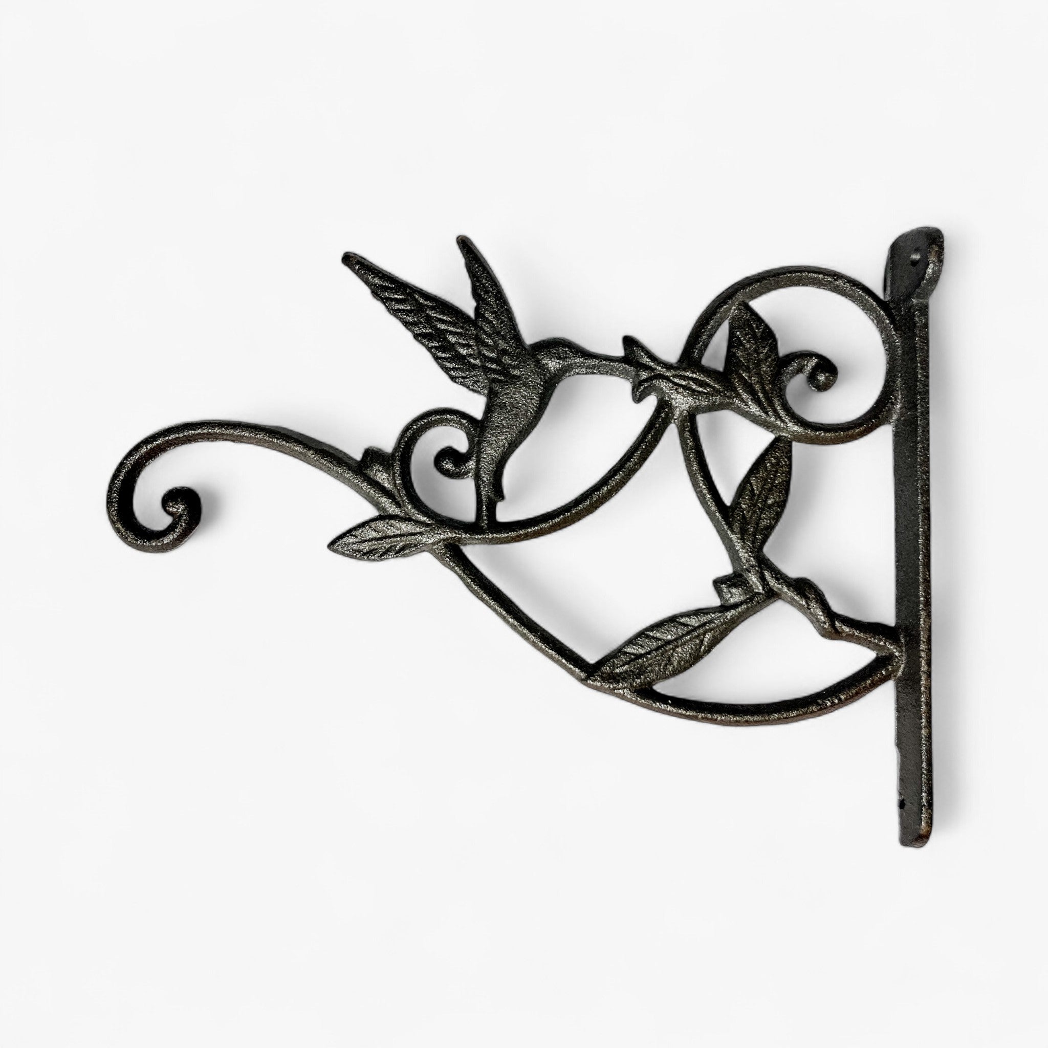 Hummingbird Plant Hanger, Cast Iron Wall Bracket, Natural Iron
