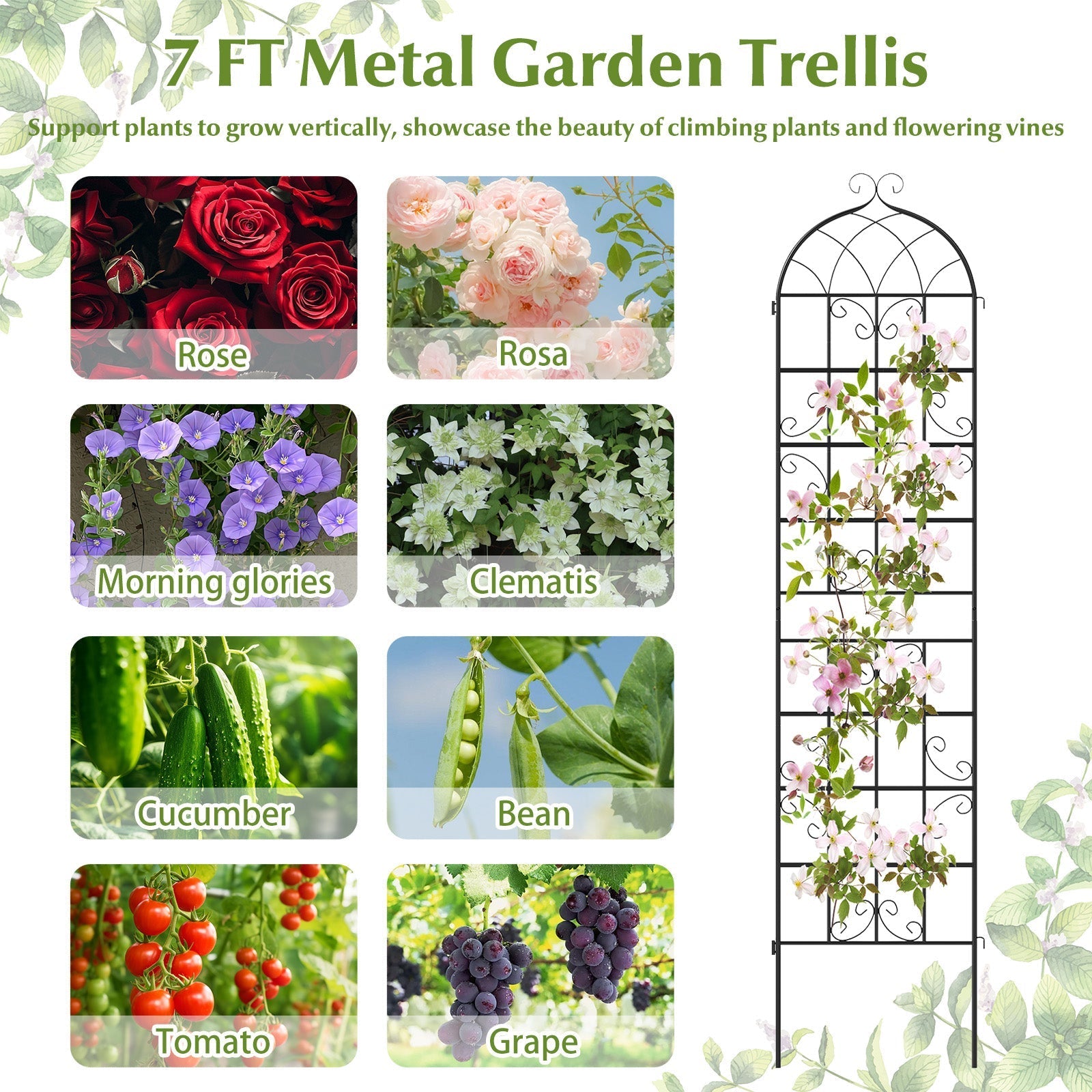 2 Pack 86" x 20" Metal Garden Trellis for Outdoor Climbing Plants